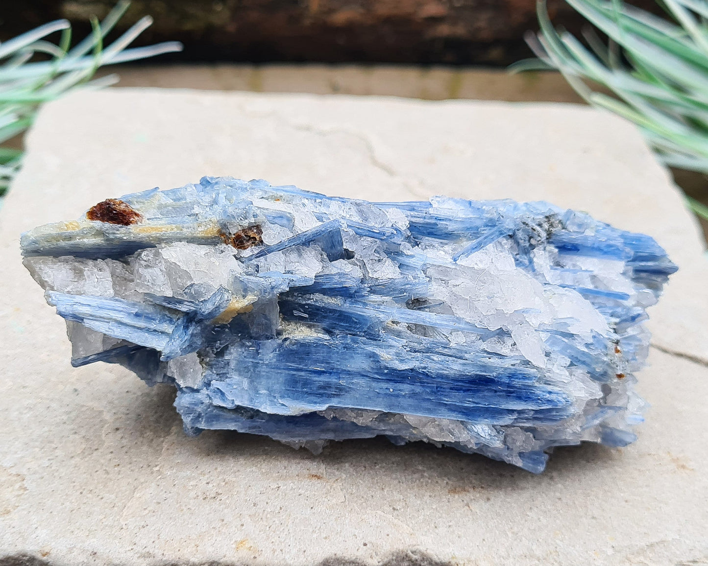 Natural Blue Kyanite Crystal with Quartz Cluster. Shiny sparkly Blue Kyanite blades with Quartz create this wonderful cluster. High grade quality. From Brazil.