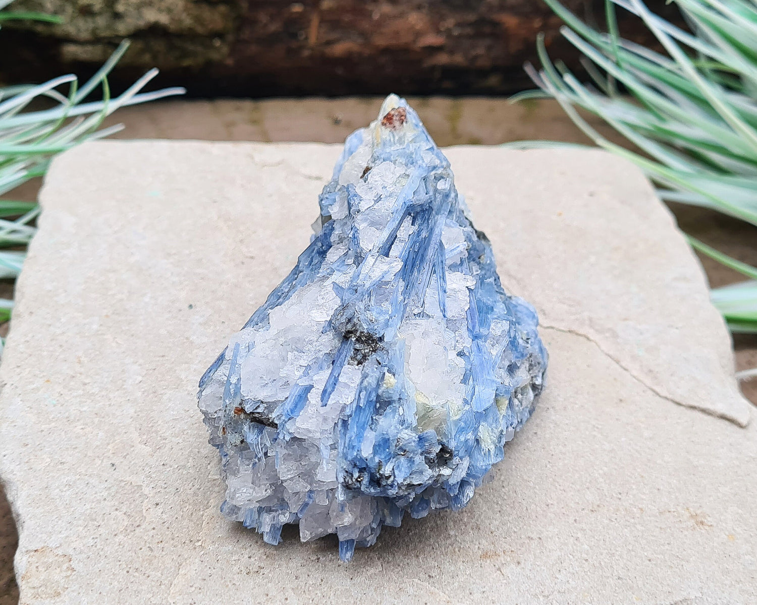 Natural Blue Kyanite Crystal with Quartz Cluster. Shiny sparkly Blue Kyanite blades with Quartz create this wonderful cluster. High grade quality. From Brazil.