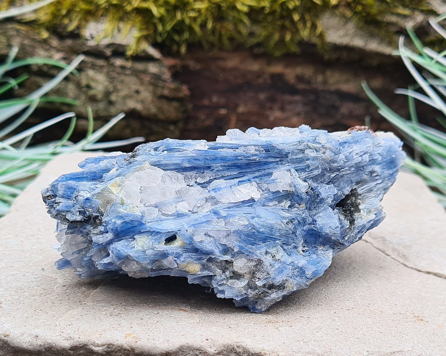 Natural Blue Kyanite Crystal with Quartz Cluster. Shiny sparkly Blue Kyanite blades with Quartz create this wonderful cluster. High grade quality. From Brazil.