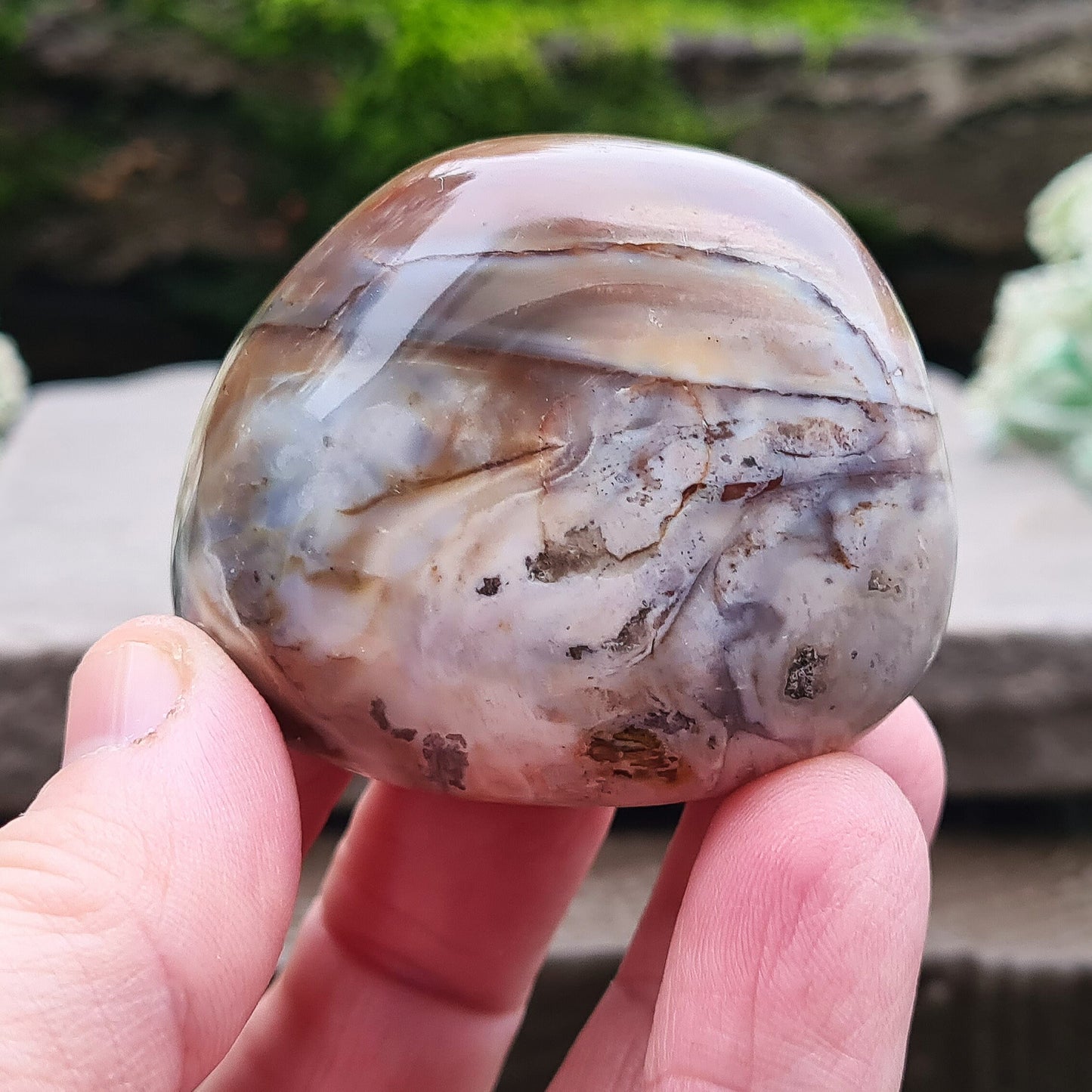 Petrified Wood Pebble, Polished