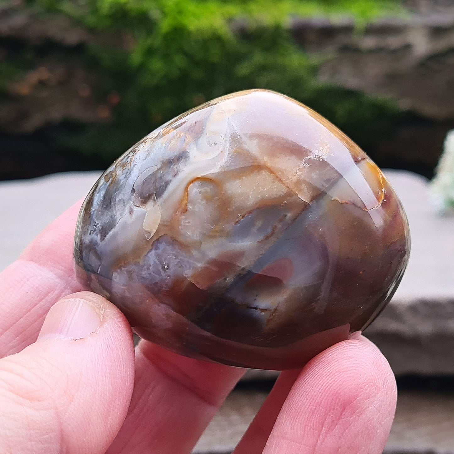 Petrified Wood Pebble, Polished