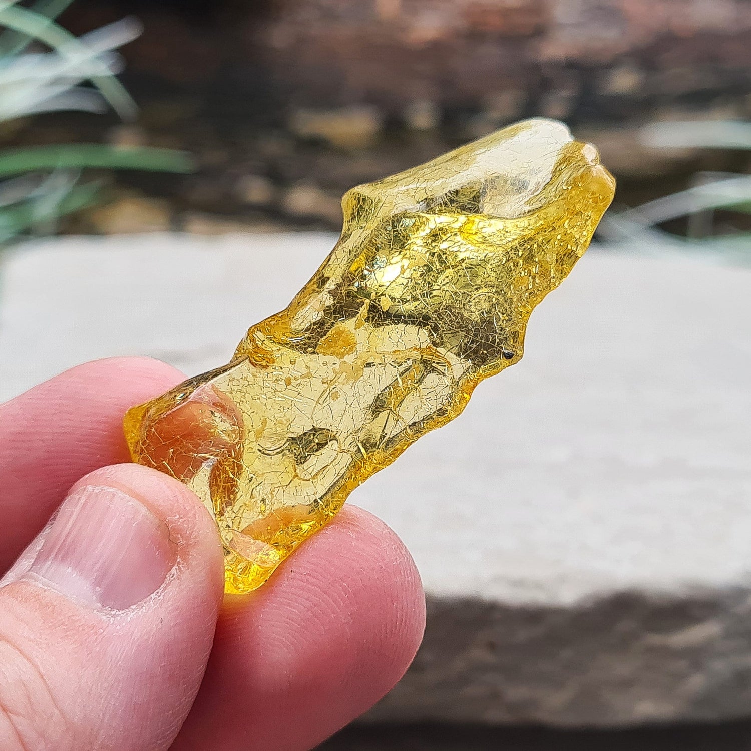 Colombian Copal Amber. This stunning Colombian Copal Amber is younger geologically than Baltic Amber,