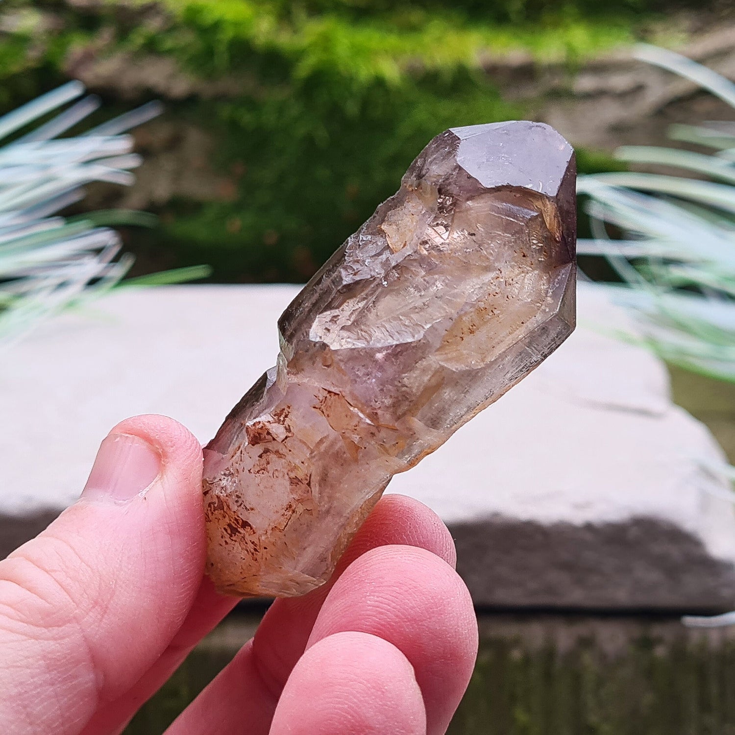 Shangaan Amethyst Crystal, Complex Sceptre and window quartz with smoky and hematite inclusions. Mined by the Shangaan tribal people in the Chibuku Mine, Zimbabwe, near Mozambique's border.