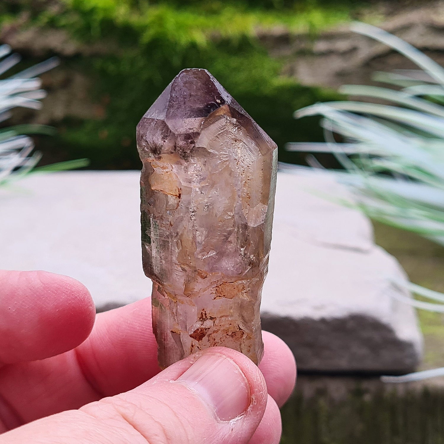 Shangaan Amethyst Crystal, Complex Sceptre and window quartz with smoky and hematite inclusions. Mined by the Shangaan tribal people in the Chibuku Mine, Zimbabwe, near Mozambique's border.