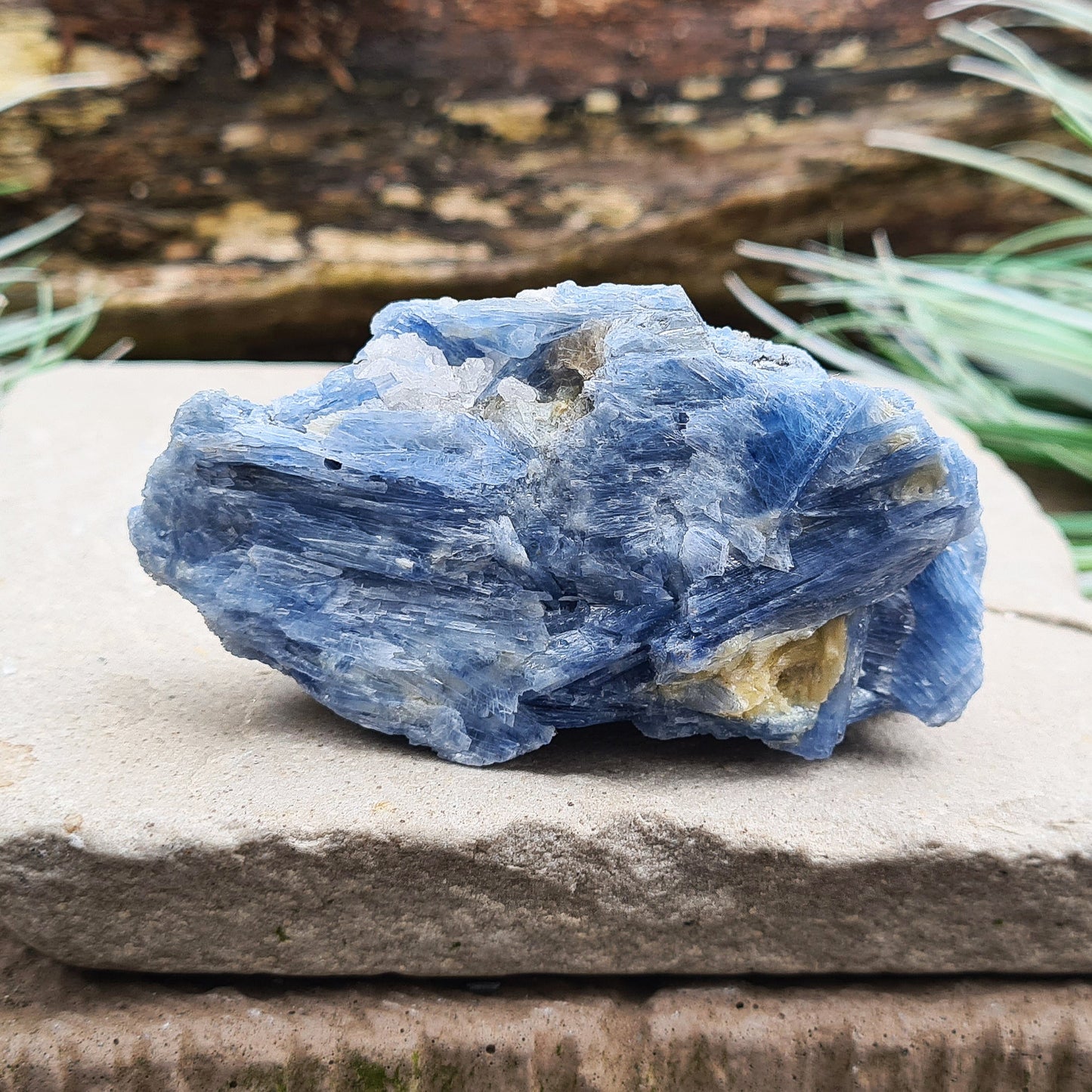 Natural Blue Kyanite Crystal Cluster. Shiny sparkly Blue Kyanite blades with a little Quartz create this wonderful cluster. High grade quality. From Brazil.