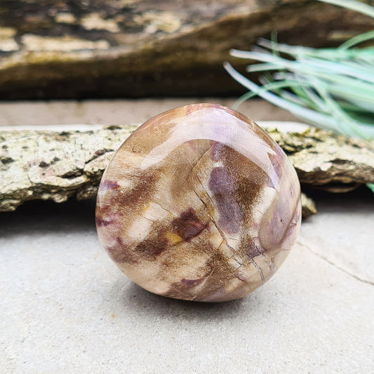 Petrified Wood Crystal Pebble. Fabulous earthy colouring and patterning. Petrified wood is created when a living tree falls into water and mineral elements are absorbed into the wood.