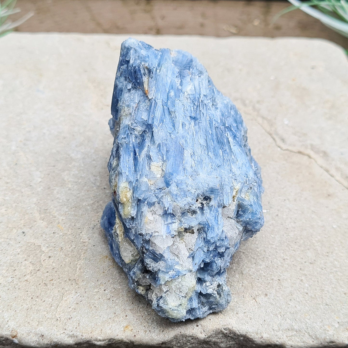 Natural Blue Kyanite Crystal Cluster. Shiny sparkly Blue Kyanite blades with a little Quartz create this wonderful cluster. High grade quality. From Brazil.