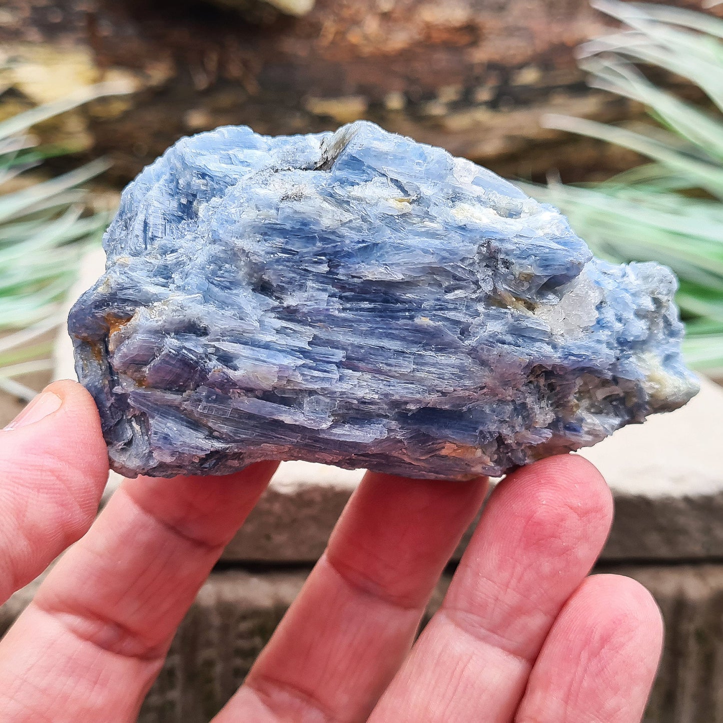 Natural Blue Kyanite Crystal Cluster. Shiny sparkly Blue Kyanite blades with a little Quartz create this wonderful cluster. High grade quality. From Brazil.