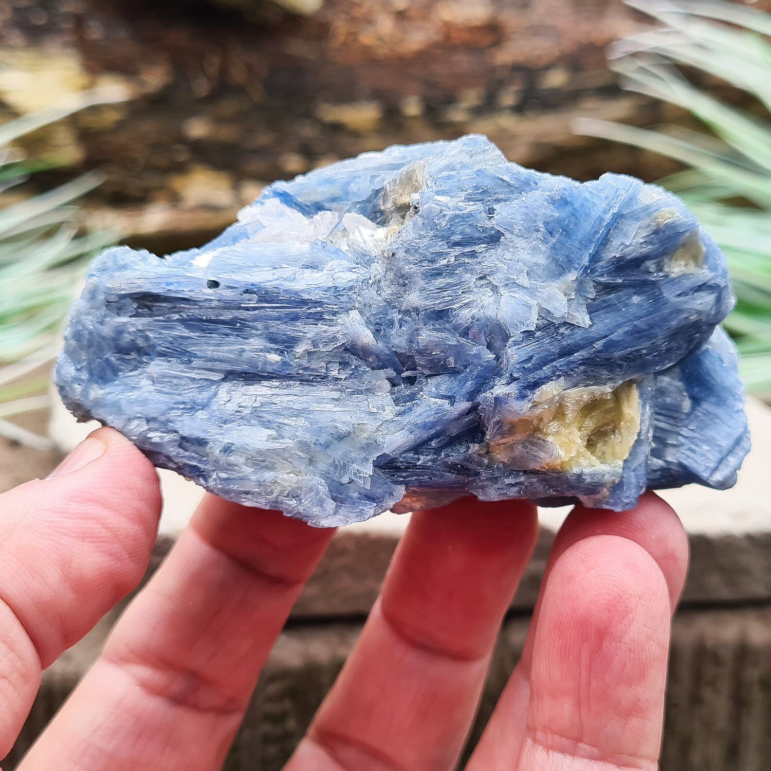 Natural Blue Kyanite Crystal Cluster. Shiny sparkly Blue Kyanite blades with a little Quartz create this wonderful cluster. High grade quality. From Brazil.