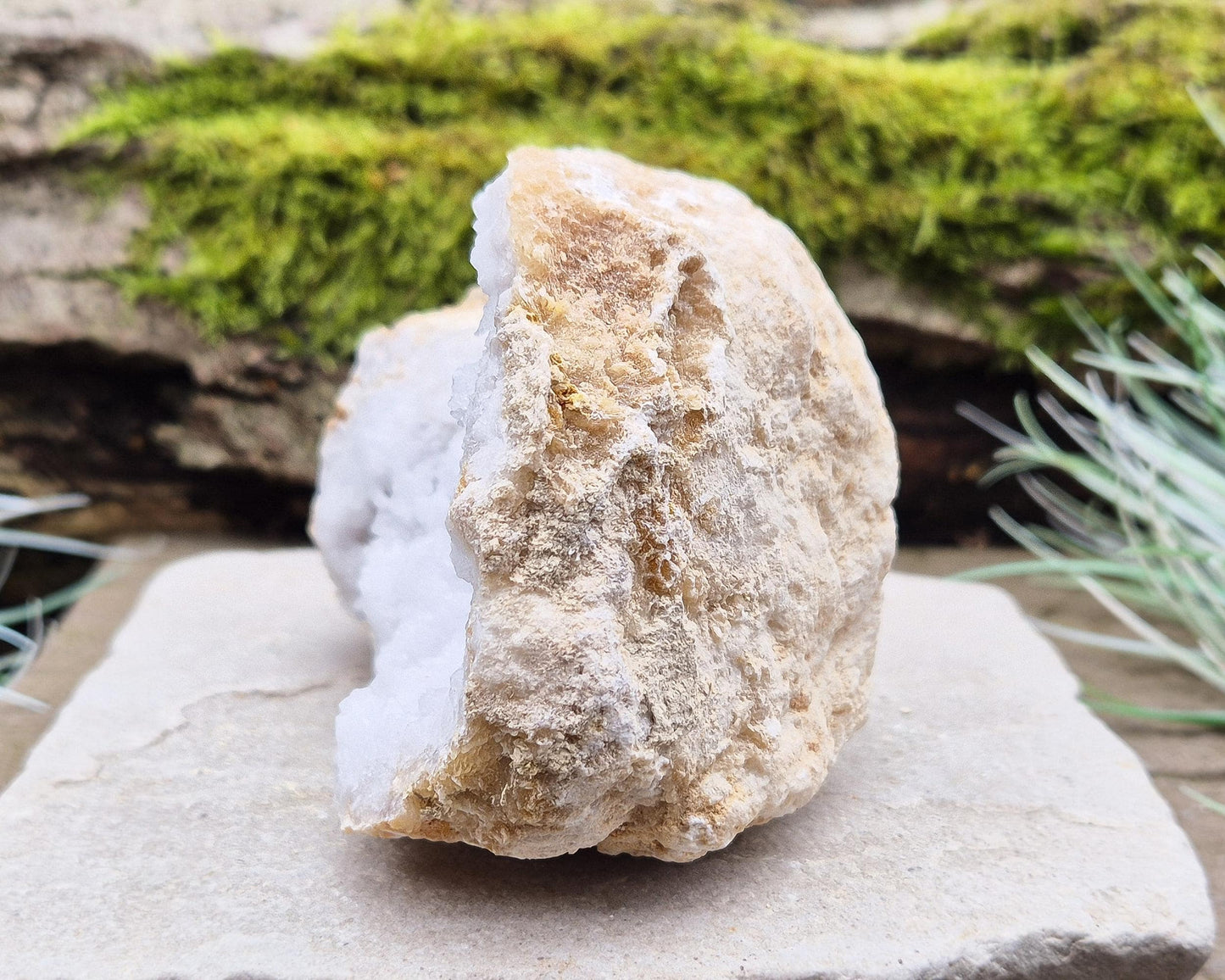 Quartz Crystal Geode Pair