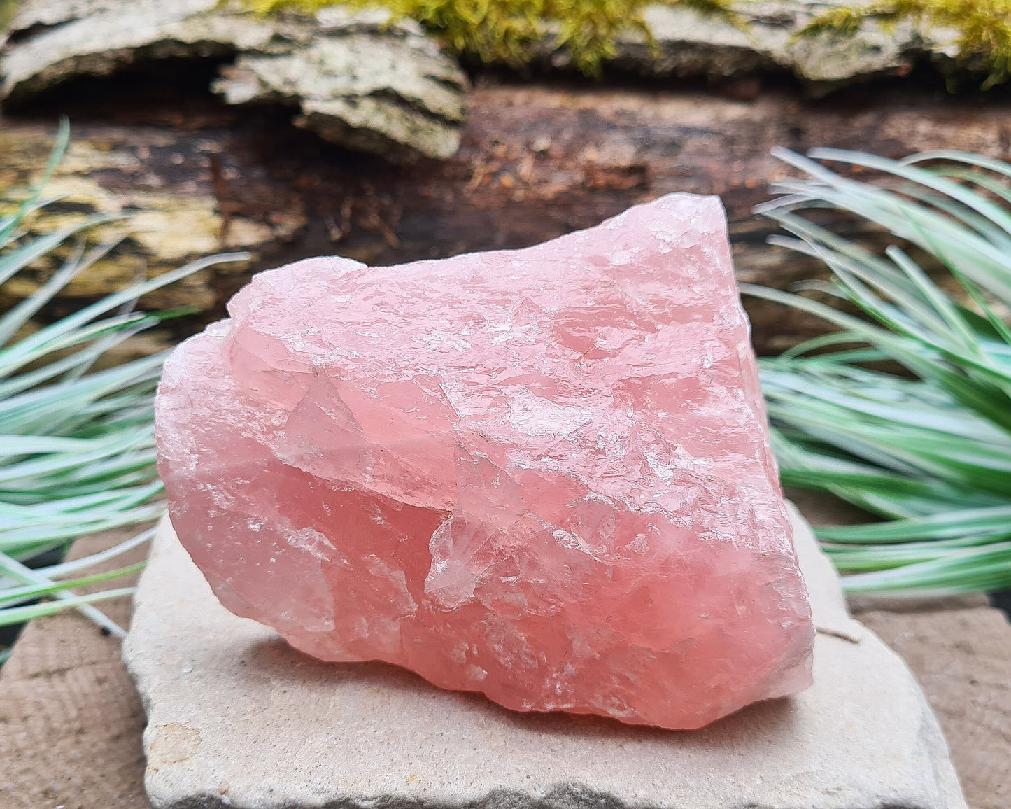 Rose Quartz Crystal, Natural