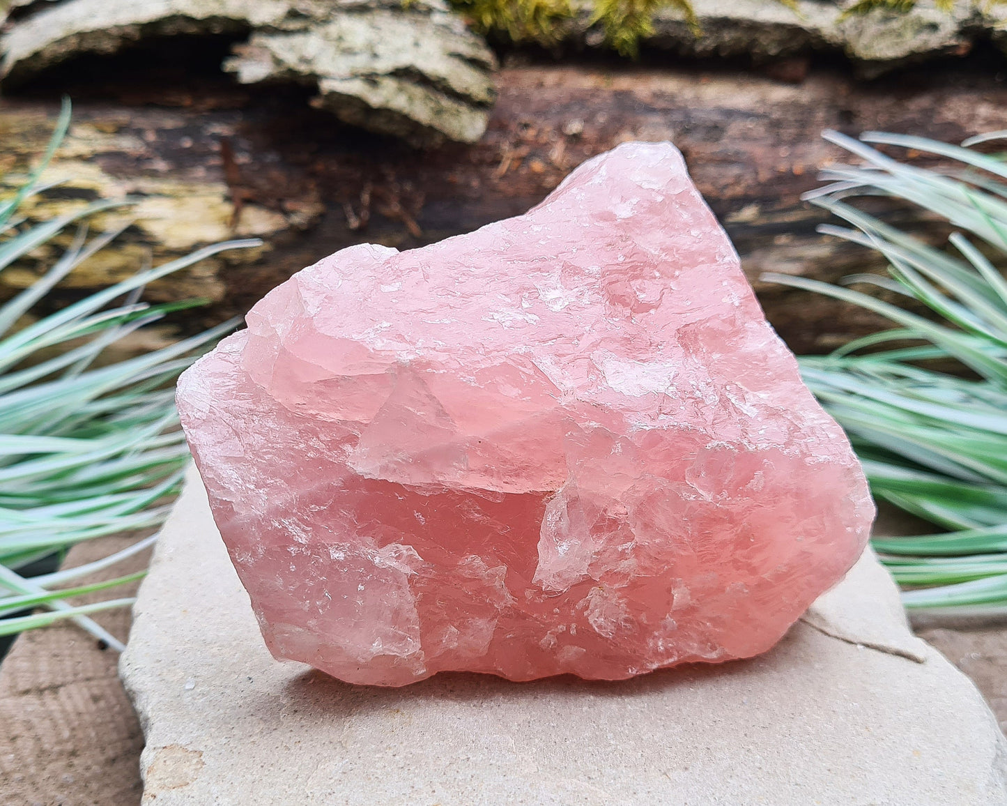 Rose Quartz Crystal, Natural