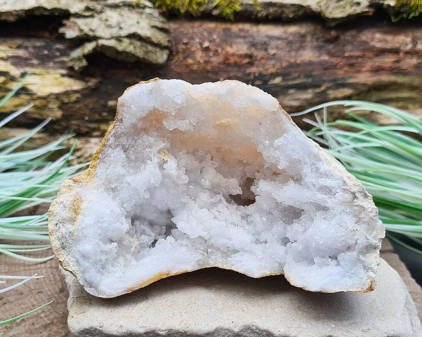 Quartz Geode Half, Crystal