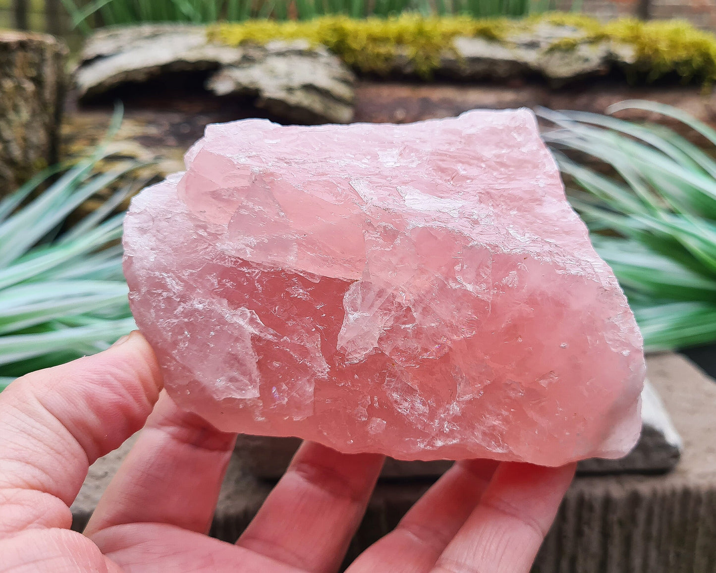 Rose Quartz Crystal, Natural