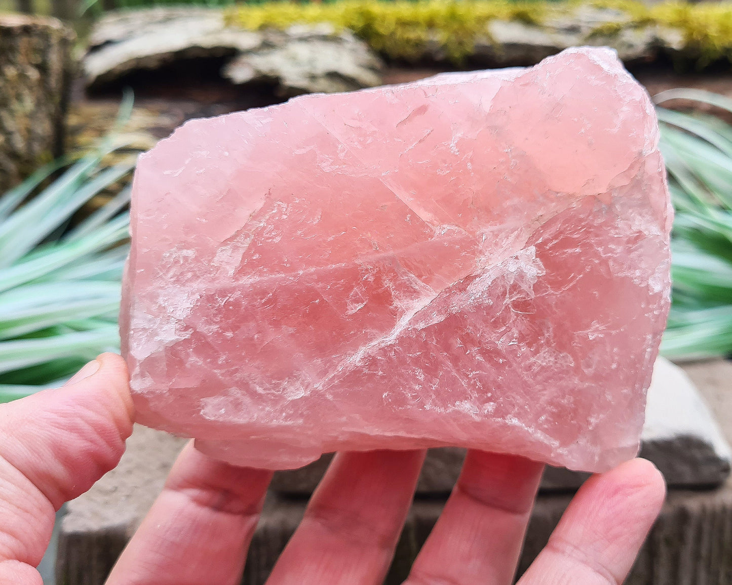 Rose Quartz Crystal, Natural