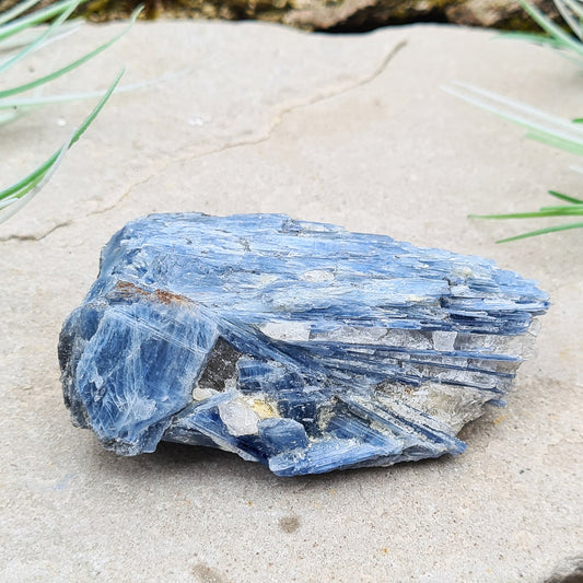 Natural Blue Kyanite Crystal Cluster. Shiny sparkly Blue Kyanite blades create this wonderful cluster. High grade quality. From Brazil.