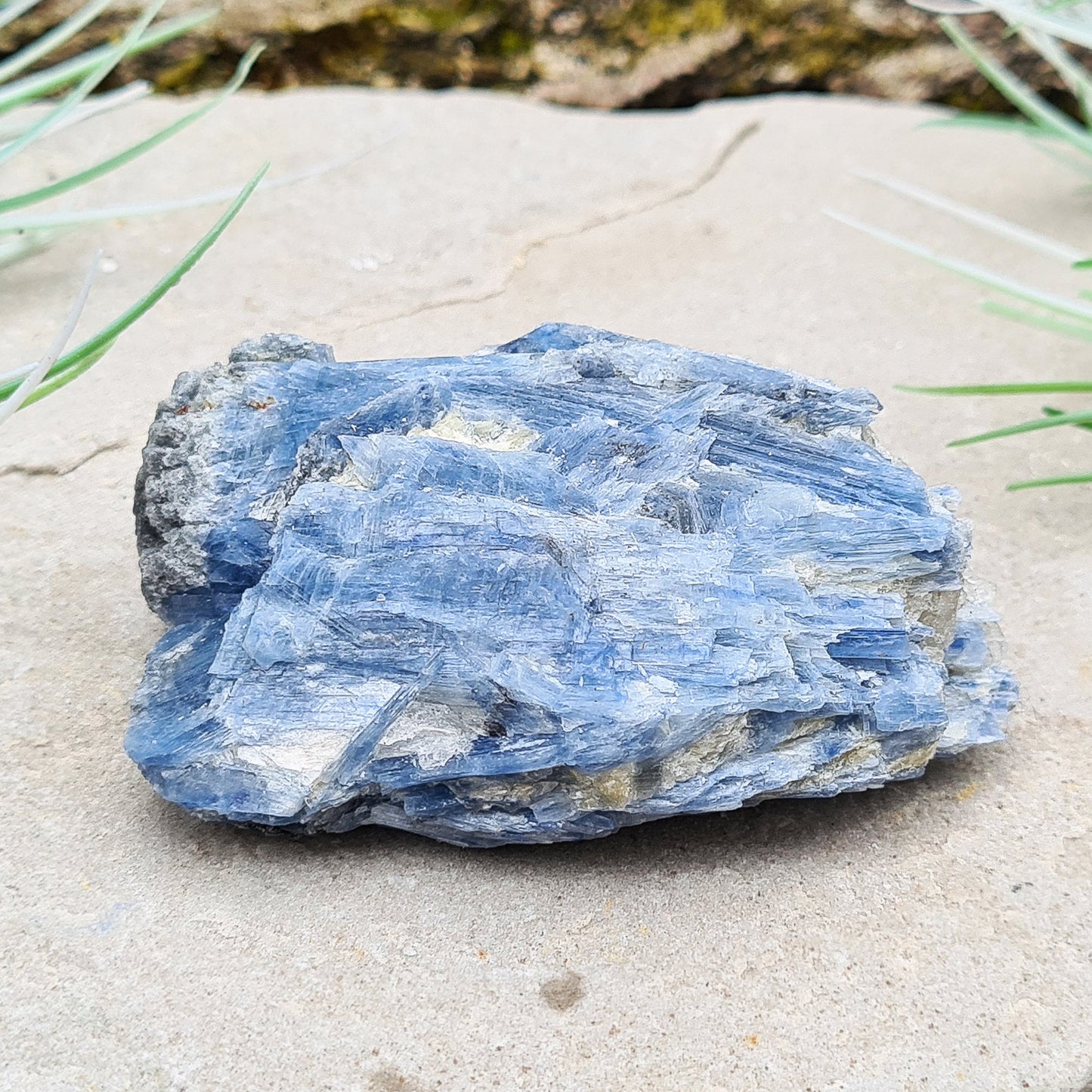 Natural Blue Kyanite Crystal Cluster. Shiny sparkly Blue Kyanite blades create this wonderful cluster. High grade quality. From Brazil.