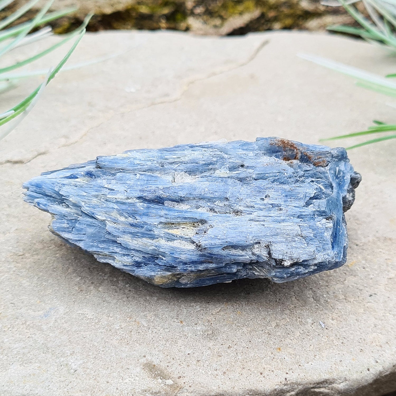 Natural Blue Kyanite Crystal Cluster. Shiny sparkly Blue Kyanite blades create this wonderful cluster. High grade quality. From Brazil.