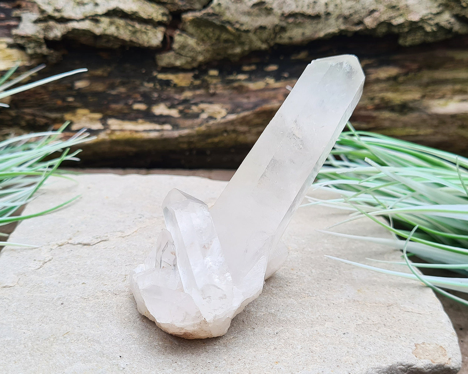 Madagascan Quartz Crystal Cluster with 1 large point and a couple of smaller points at its base. It will self stand.