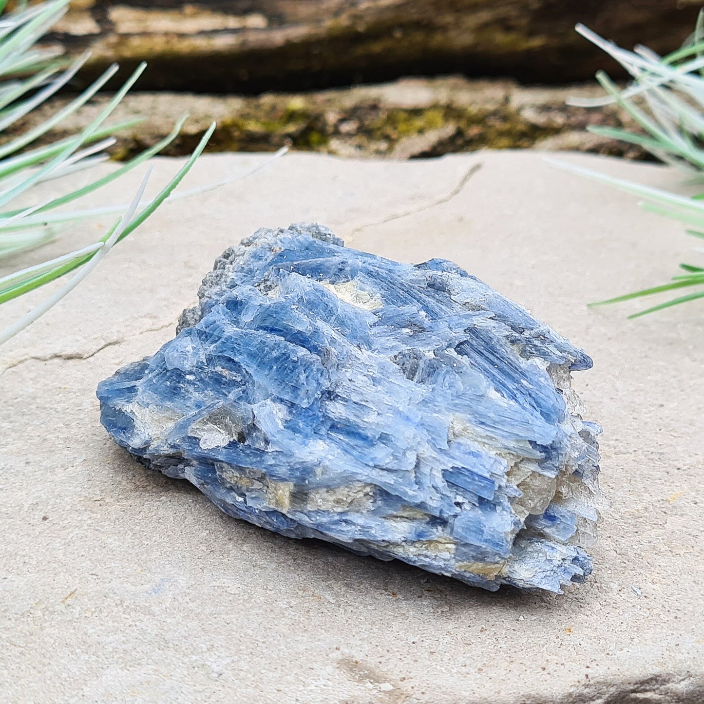 Natural Blue Kyanite Crystal Cluster. Shiny sparkly Blue Kyanite blades create this wonderful cluster. High grade quality. From Brazil.