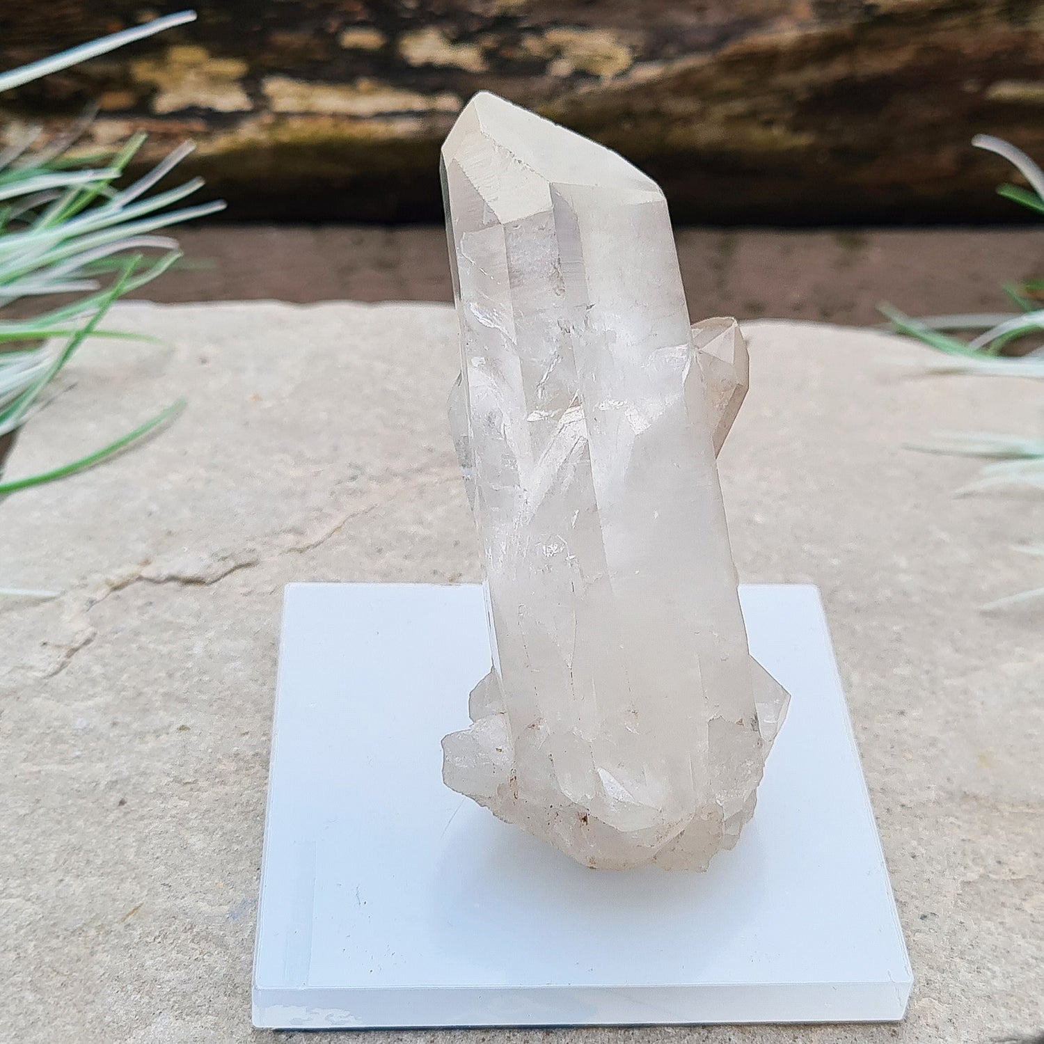 Madagascan Quartz Crystal Cluster with 1 large point and a few smaller points at its base.