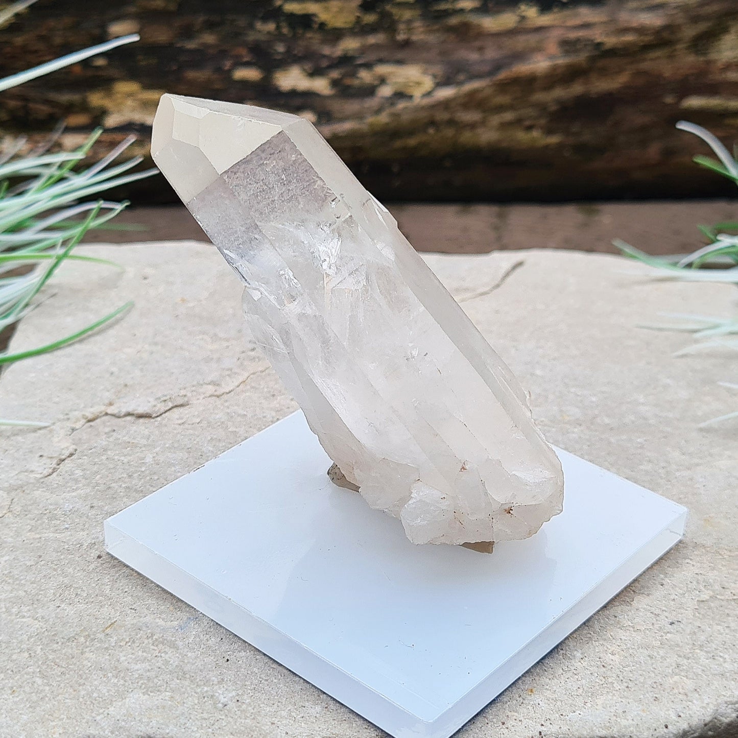 Madagascan Quartz Crystal Cluster with 1 large point and a few smaller points at its base.