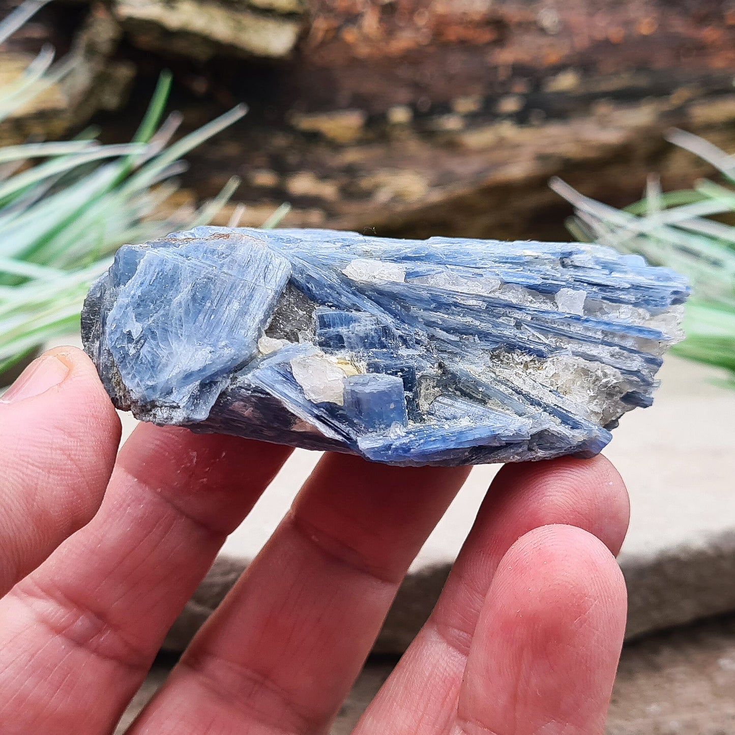 Natural Blue Kyanite Crystal Cluster. Shiny sparkly Blue Kyanite blades create this wonderful cluster. High grade quality. From Brazil.