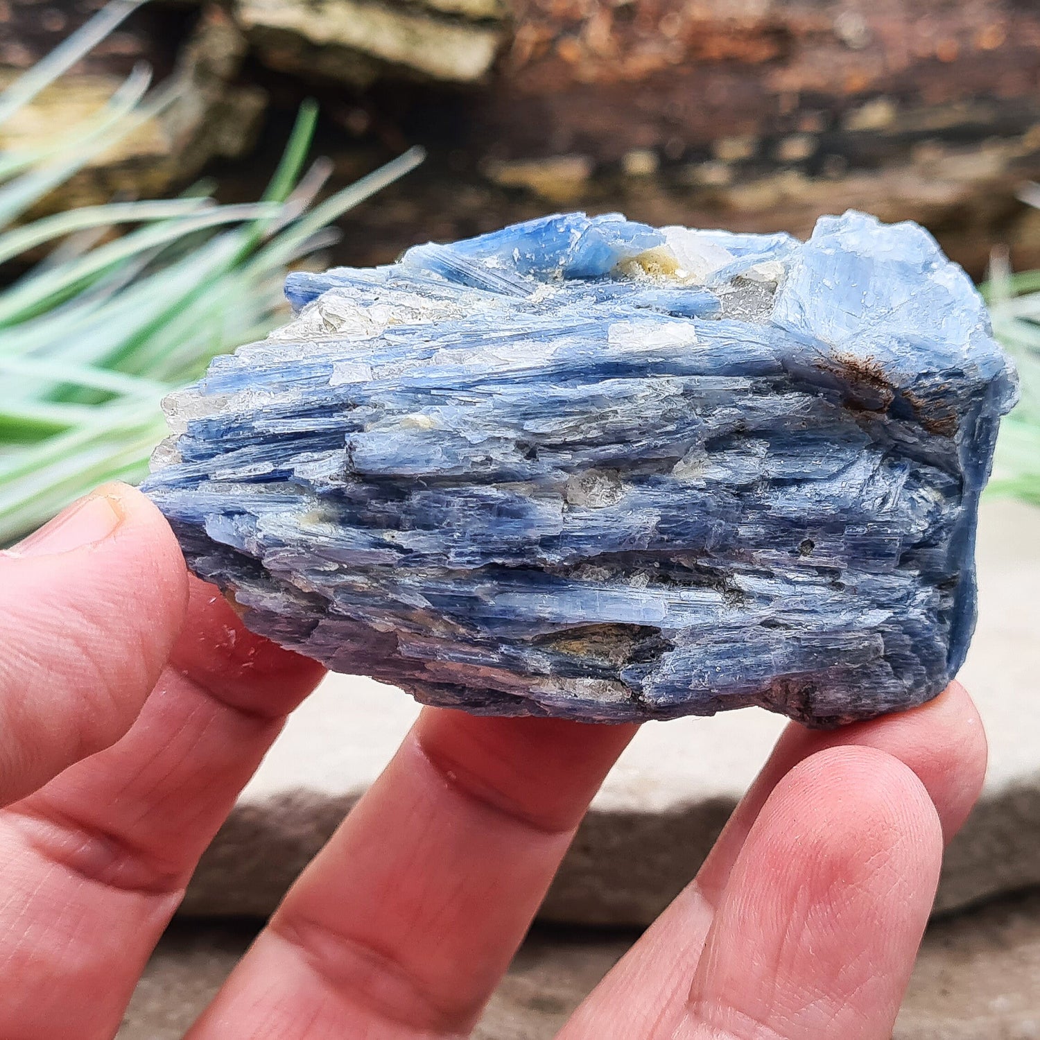 Natural Blue Kyanite Crystal Cluster. Shiny sparkly Blue Kyanite blades create this wonderful cluster. High grade quality. From Brazil.