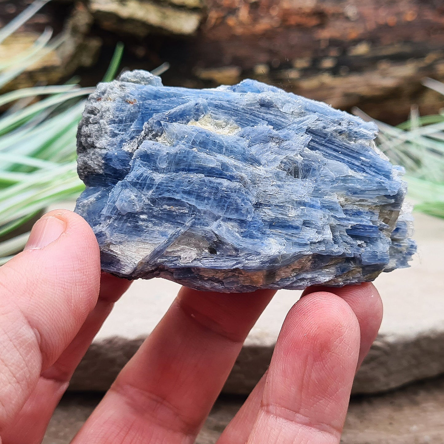 Natural Blue Kyanite Crystal Cluster. Shiny sparkly Blue Kyanite blades create this wonderful cluster. High grade quality. From Brazil.