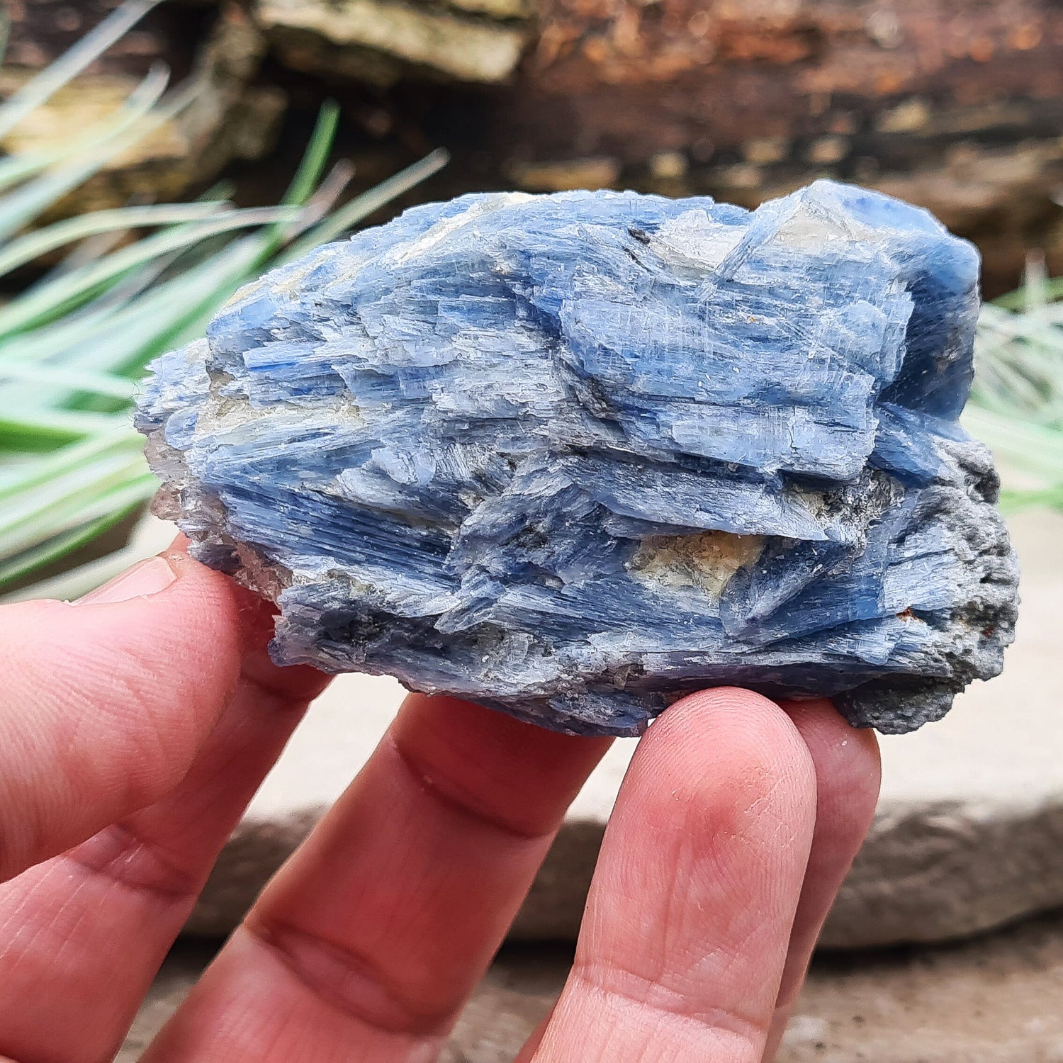 Natural Blue Kyanite Crystal Cluster. Shiny sparkly Blue Kyanite blades create this wonderful cluster. High grade quality. From Brazil.