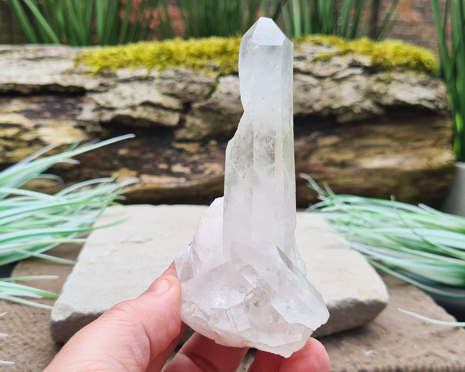 Madagascan Quartz Crystal Cluster with 1 large point and a couple of smaller points at its base. It will self stand.