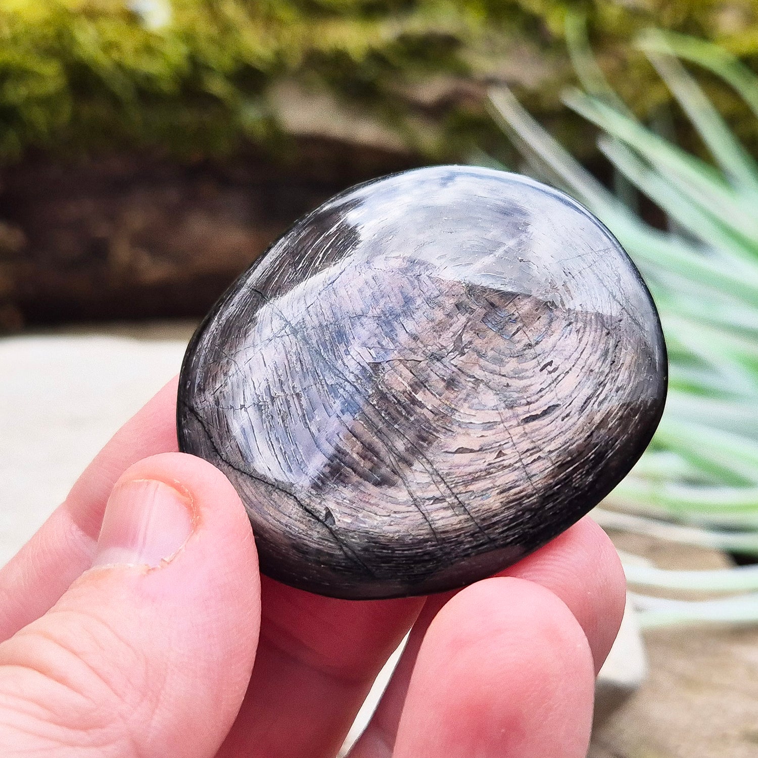 Violet Hypersthene is a rare and beautiful variation of the Hypersthene mineral. Known for its deep, velvety violet hues that shimmer in the light. This stone originates from Quebec's Labrador Trough, also known as the New Quebec Orogen, Canada.