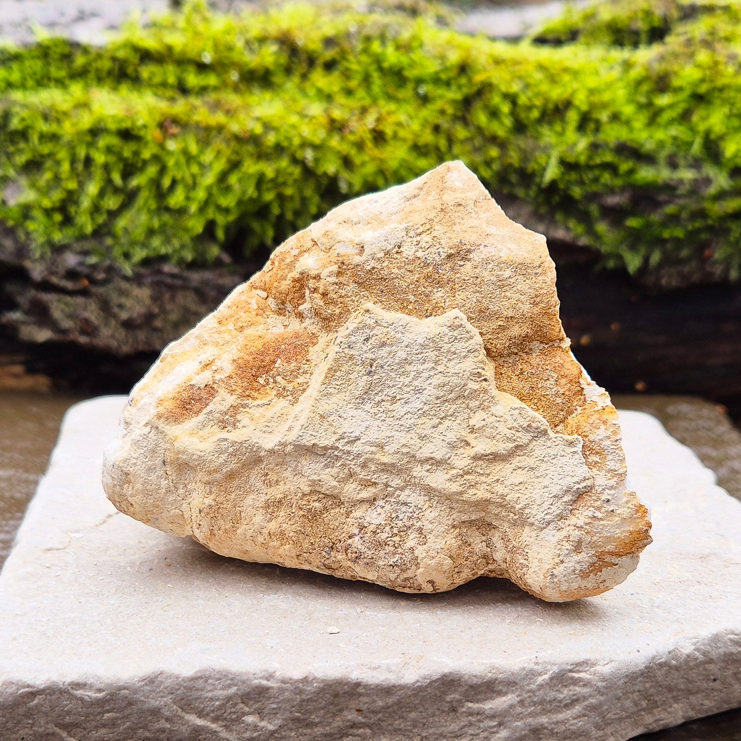 White Quartz Crystal Geode Half, from Morocco. Packed full of lovely sparkling white quartz crystal formations. It can sit on its own on an even surface.