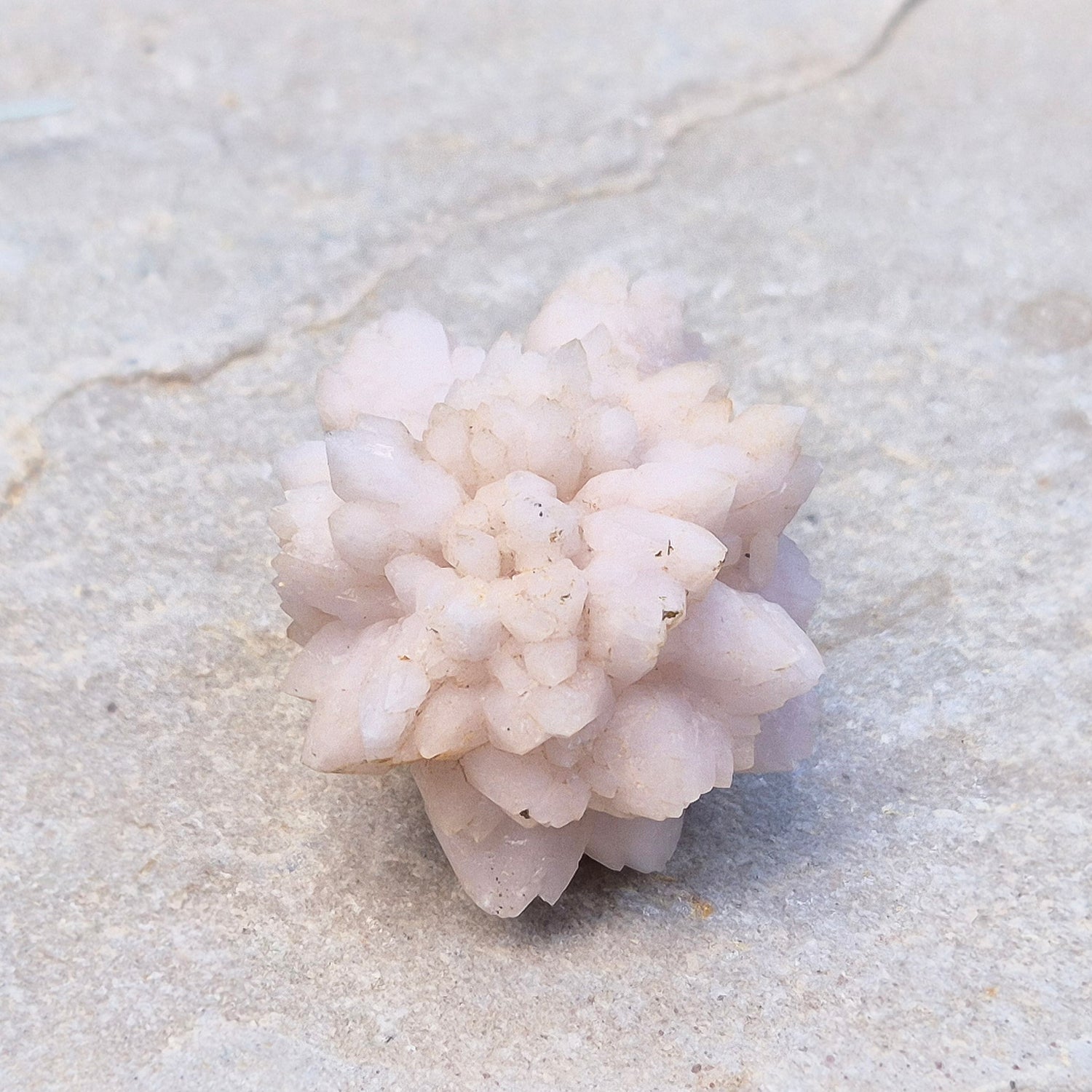 Flower Quartz Crystal Cluster from the Middle Atlas Mountains Morocco. Also sometimes called Pink Chrysanthemum Quartz.