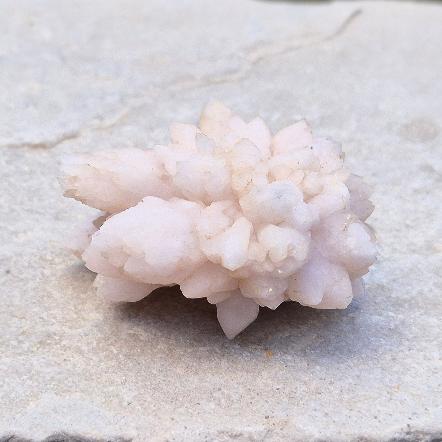 Flower Quartz Crystal Cluster from the Middle Atlas Mountains Morocco. Also sometimes called Pink Chrysanthemum Quartz.