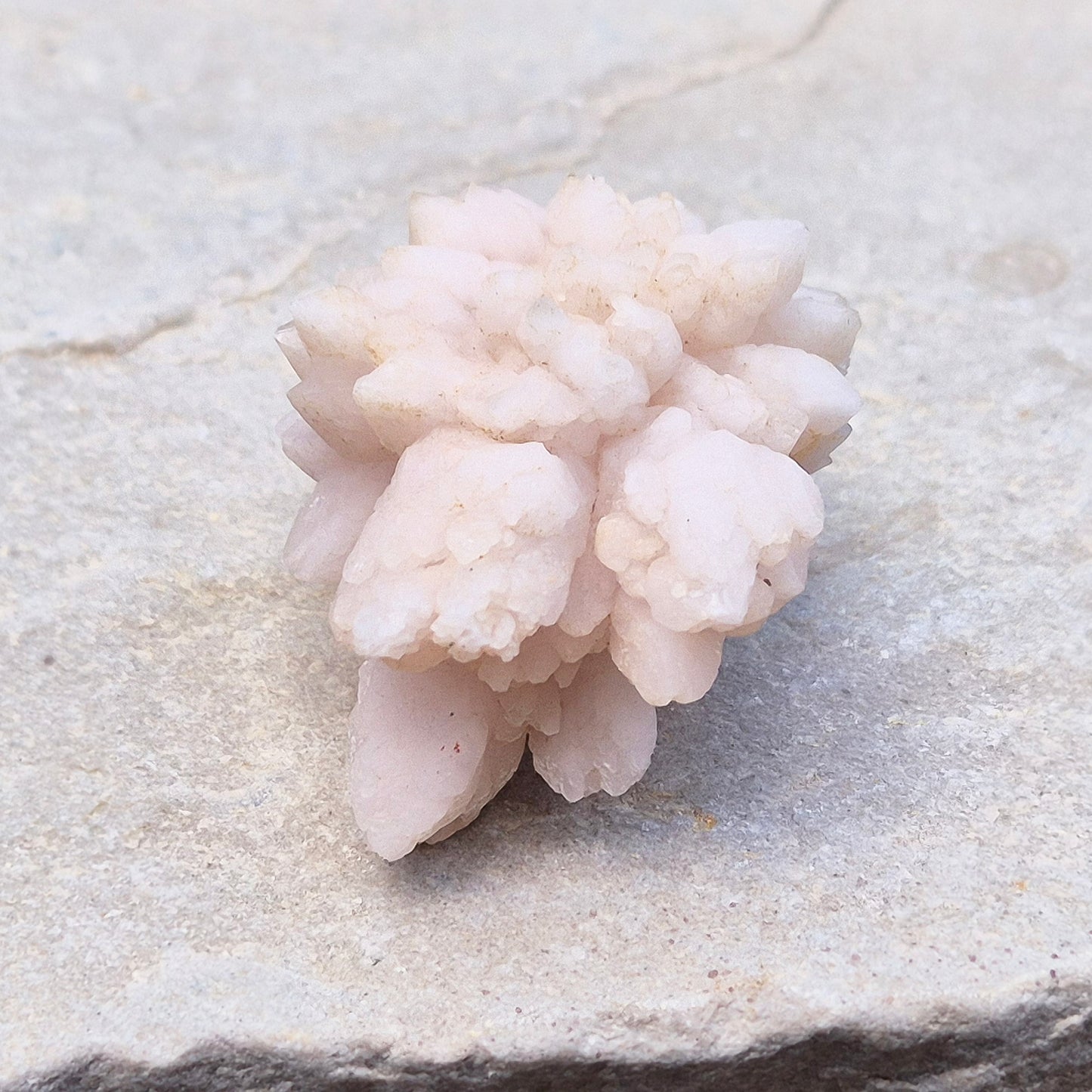 Flower Quartz Crystal Cluster from the Middle Atlas Mountains Morocco. Also sometimes called Pink Chrysanthemum Quartz.