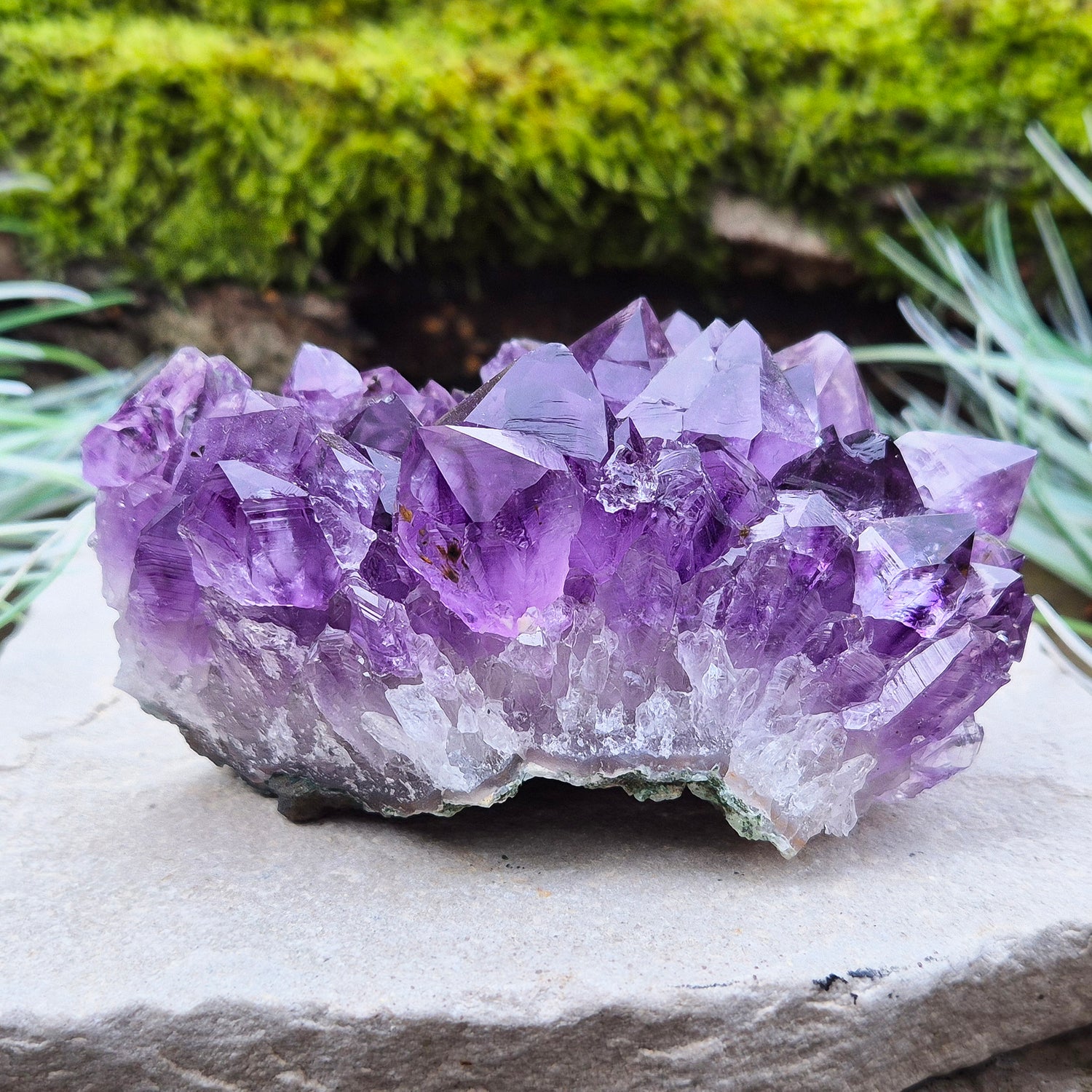 Amethyst Crystal Cluster or Amethyst Crystal Druze from Brazil. A grade. The amethyst points on this cluster are a lovely deep purple colour.