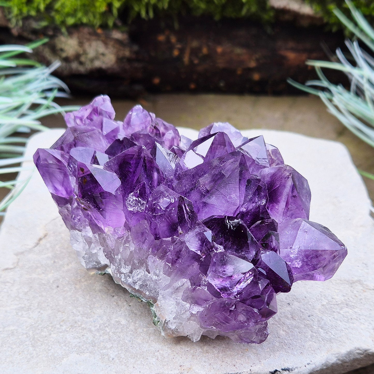 Amethyst Crystal Cluster or Amethyst Crystal Druze from Brazil. A grade. The amethyst points on this cluster are a lovely deep purple colour.