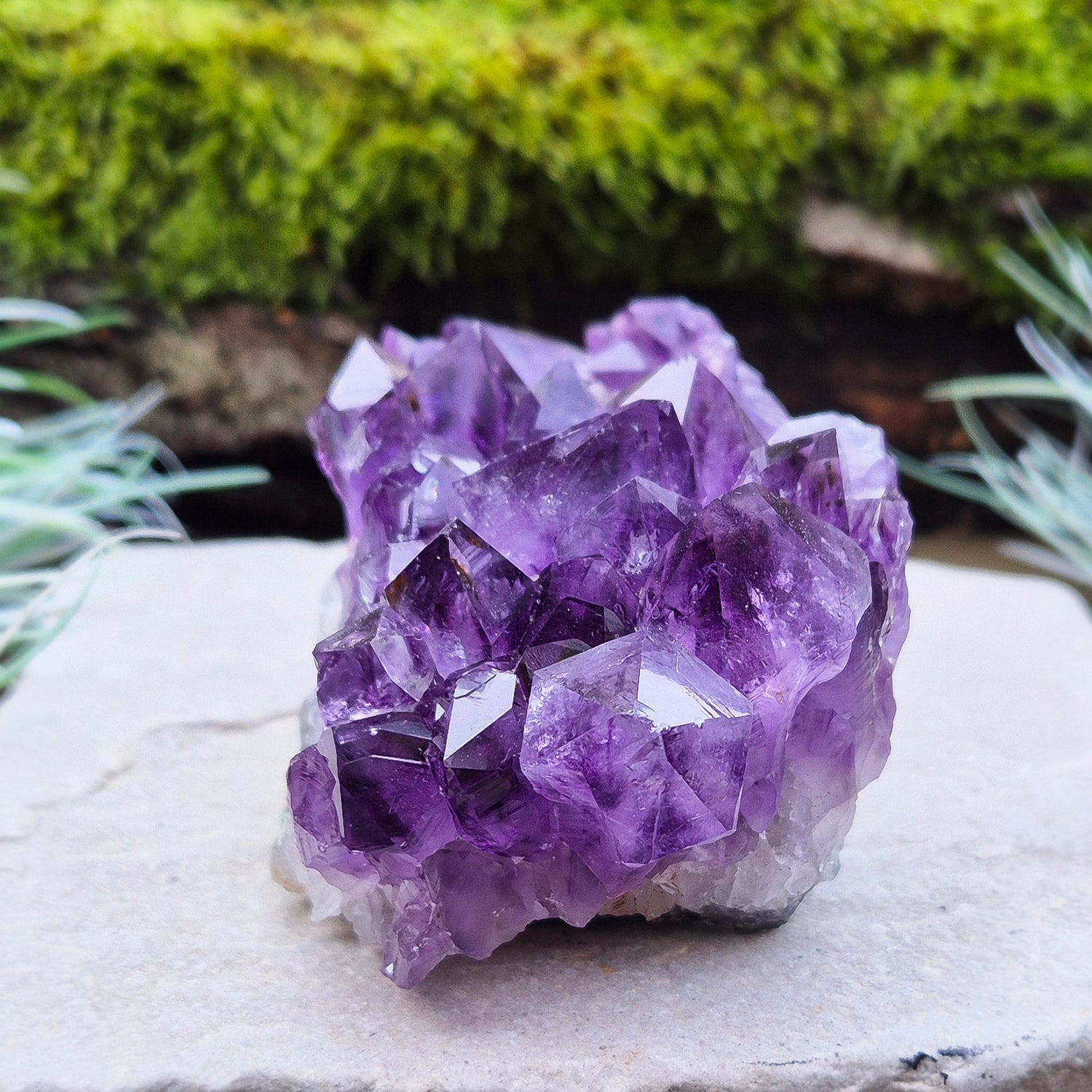 Amethyst Crystal Cluster or Amethyst Crystal Druze from Brazil. A grade. The amethyst points on this cluster are a lovely deep purple colour.