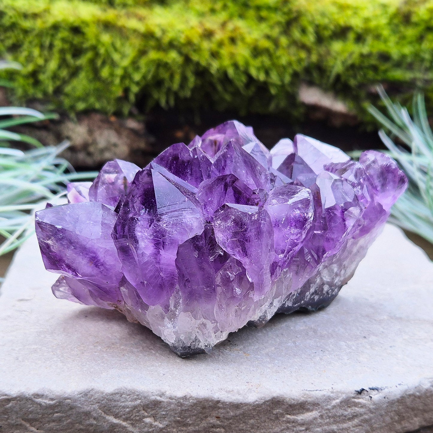 Amethyst Crystal Cluster or Amethyst Crystal Druze from Brazil. A grade. The amethyst points on this cluster are a lovely deep purple colour.