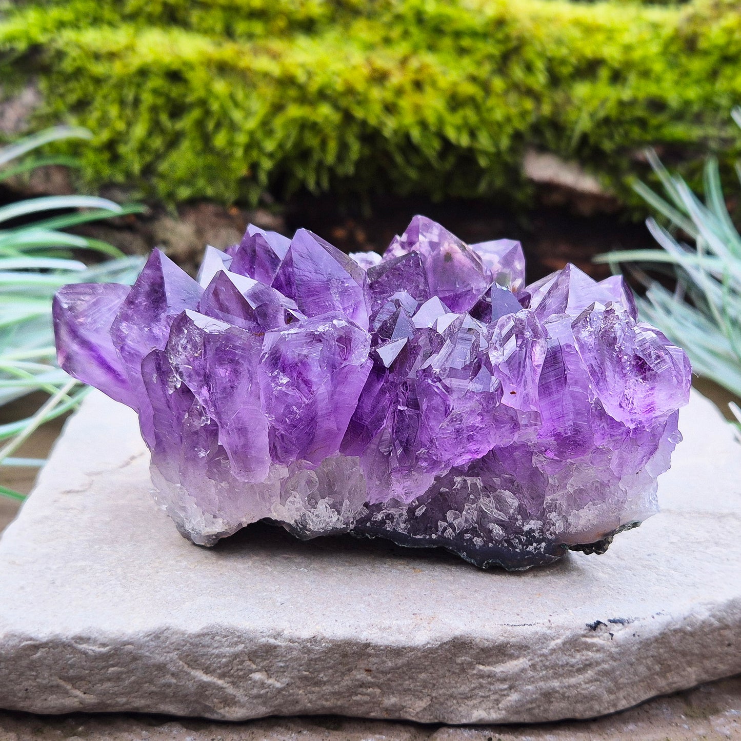 Amethyst Crystal Cluster or Amethyst Crystal Druze from Brazil. A grade. The amethyst points on this cluster are a lovely deep purple colour.