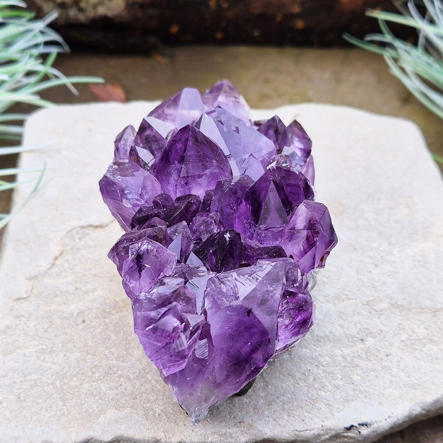 Amethyst Crystal Cluster or Amethyst Crystal Druze from Brazil. A grade. The amethyst points on this cluster are a lovely deep purple colour.