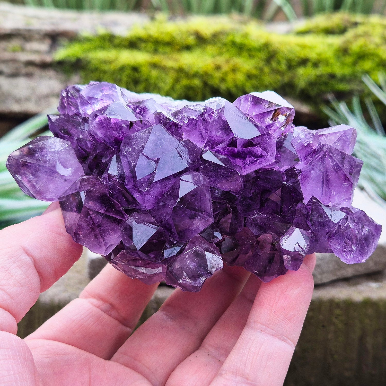 Amethyst Crystal Cluster or Amethyst Crystal Druze from Brazil. A grade. The amethyst points on this cluster are a lovely deep purple colour.