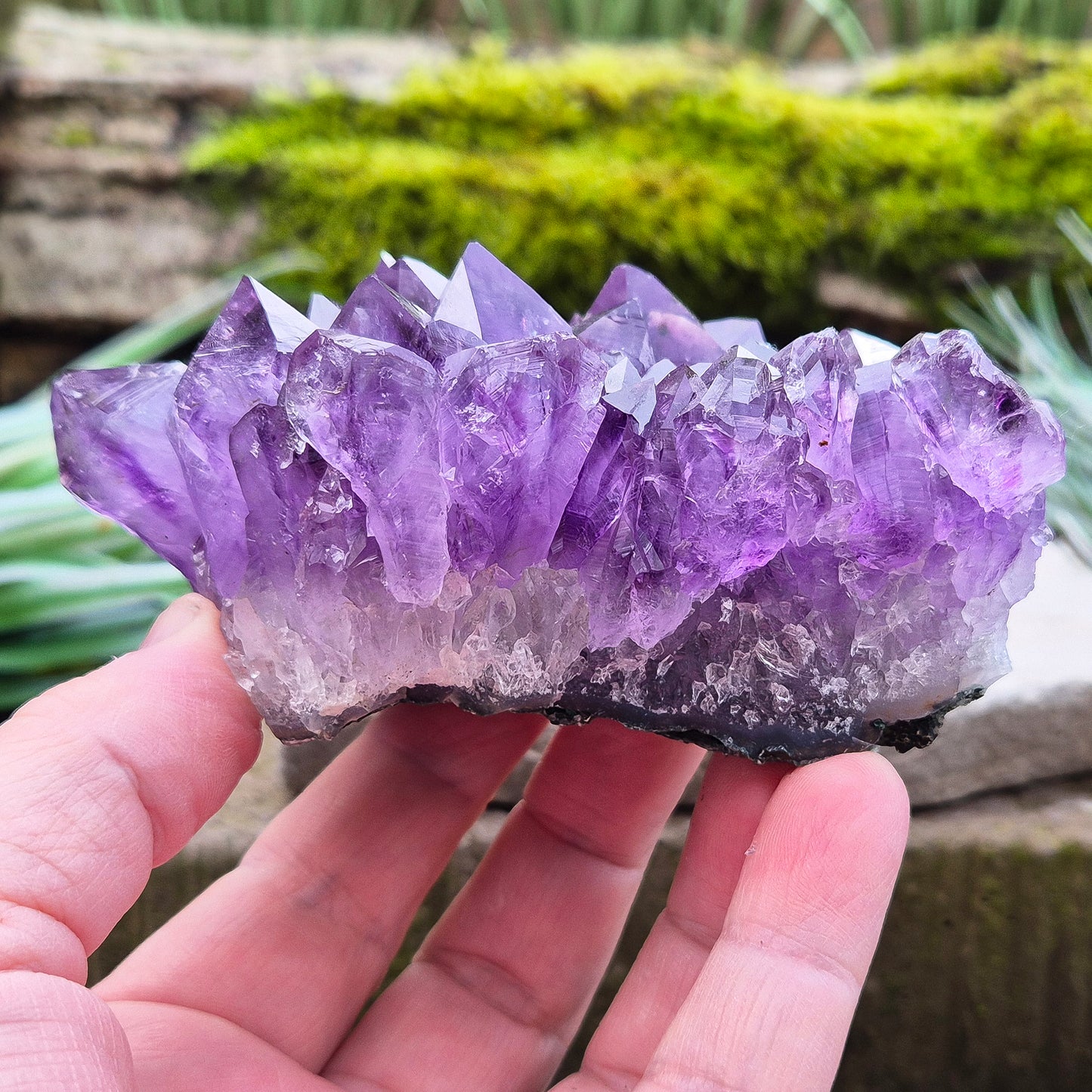 Amethyst Crystal Cluster, Grade A