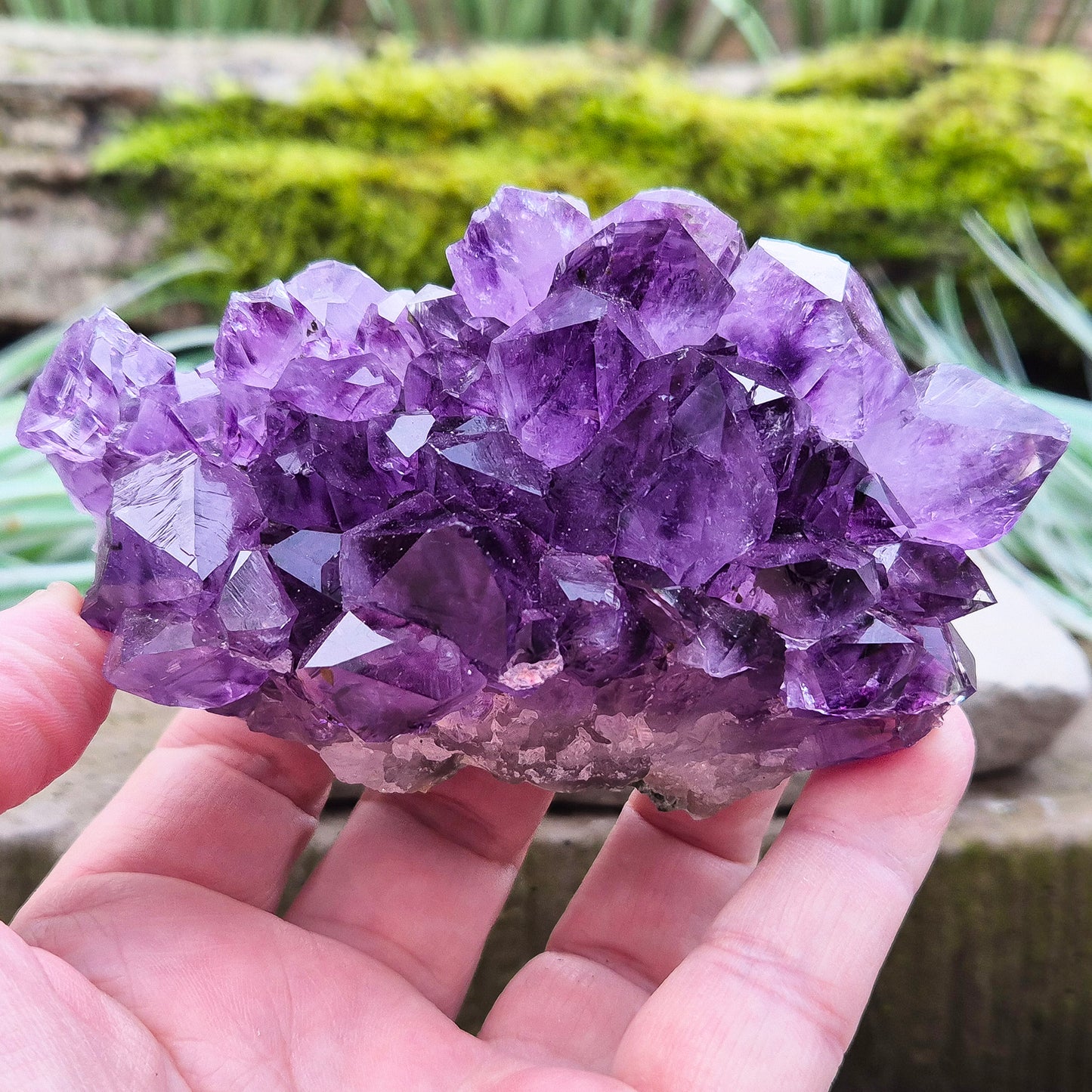 Amethyst Crystal Cluster, Grade A