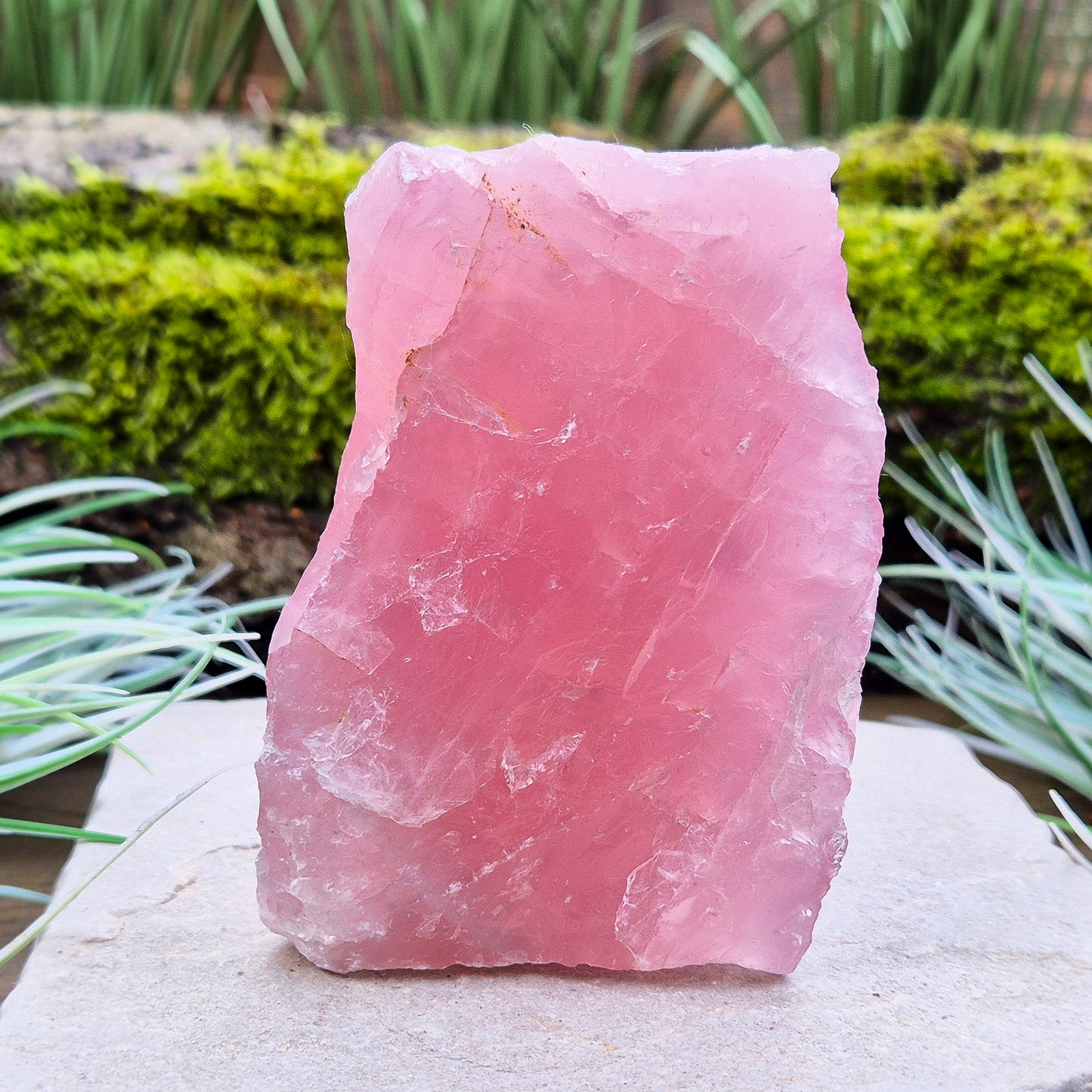 Rose Quartz Crystal, Natural, from Namibia, Africa. Lovely pink colouring, will self stand upright or on its side on an even surface.