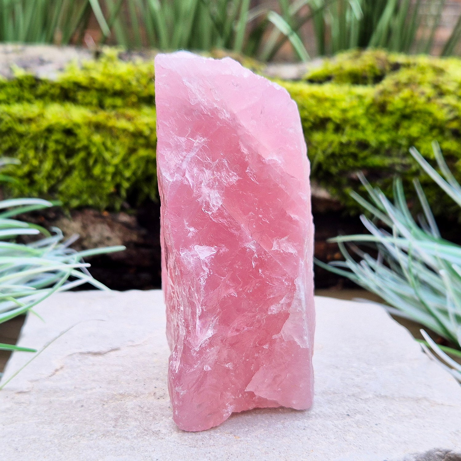 Rose Quartz Crystal, Natural, from Namibia, Africa. Lovely pink colouring, will self stand upright or on its side on an even surface.