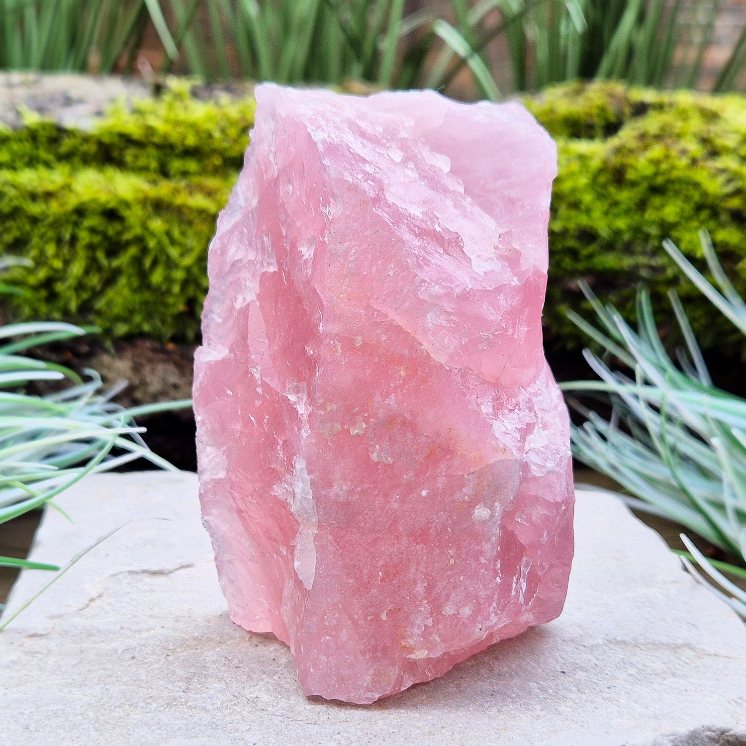 Rose Quartz Crystal, Natural, from Namibia, Africa. Lovely pink colouring, will self stand upright or on its side on an even surface.