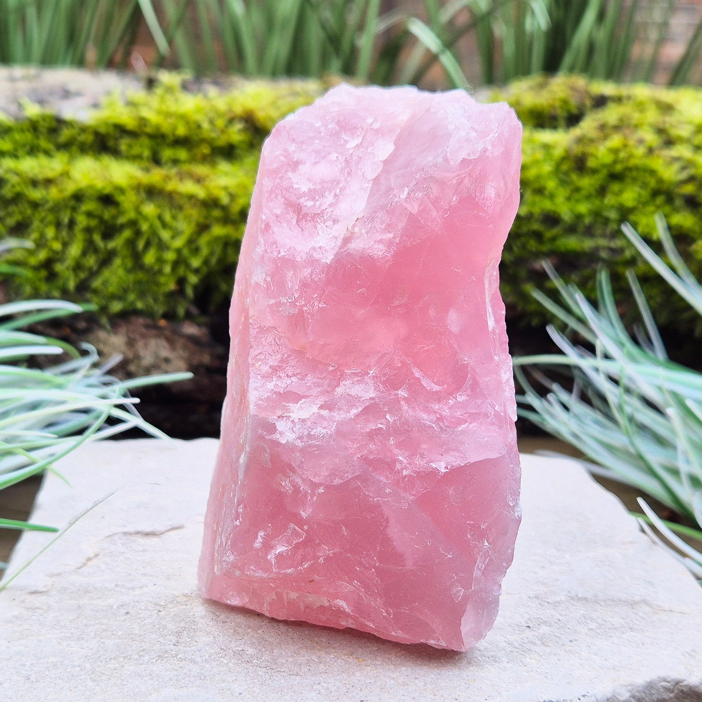 Rose Quartz Crystal, Natural, from Namibia, Africa. Lovely pink colouring, will self stand upright or on its side on an even surface.