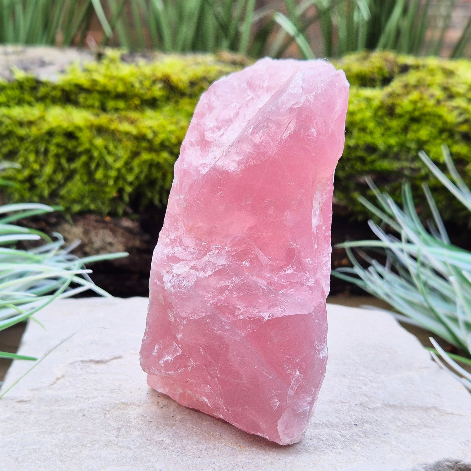 Rose Quartz Crystal, Natural, from Namibia, Africa. Lovely pink colouring, will self stand upright or on its side on an even surface.